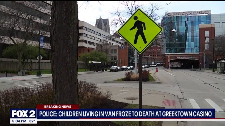 2 homeless Detroit children freeze to death while sleeping in van with family: police