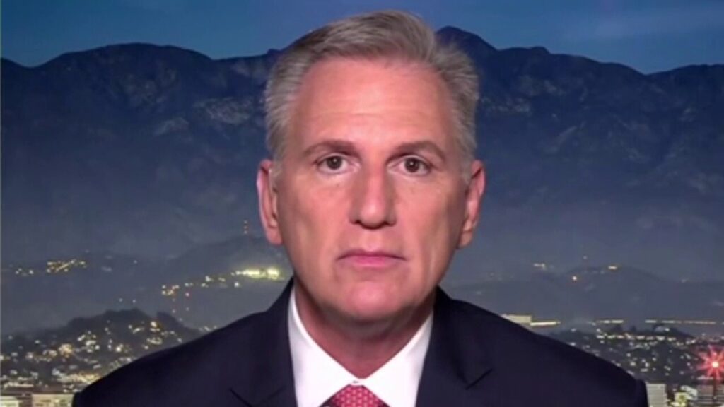 Dems are attacking Elon Musk while they drive his Teslas, says Kevin McCarthy