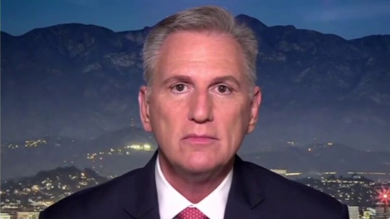 Dems are attacking Elon Musk while they drive his Teslas, says Kevin McCarthy