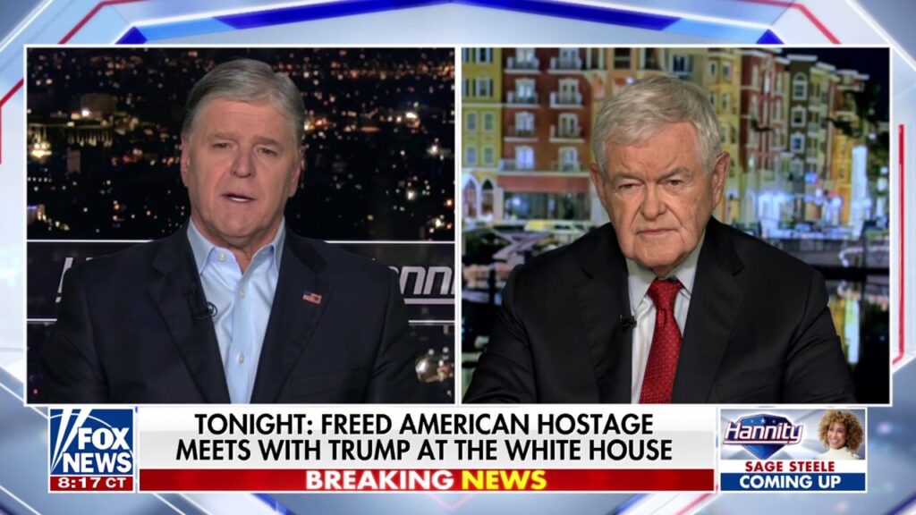 Newt Gingrich: Democrats are 'watching with terror' as this government money is challenged