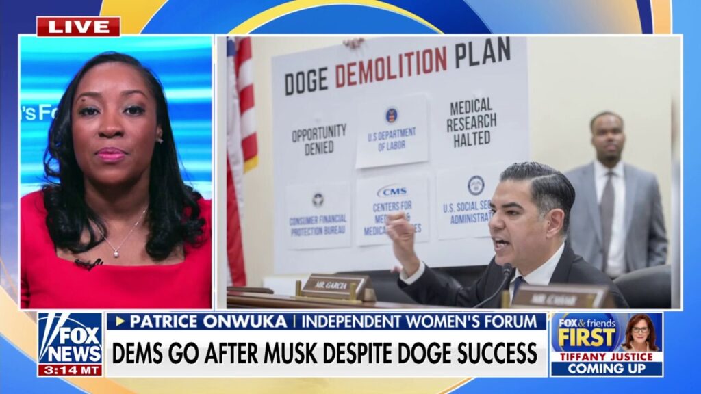 Democrats under fire for DOGE hearing 'antics'