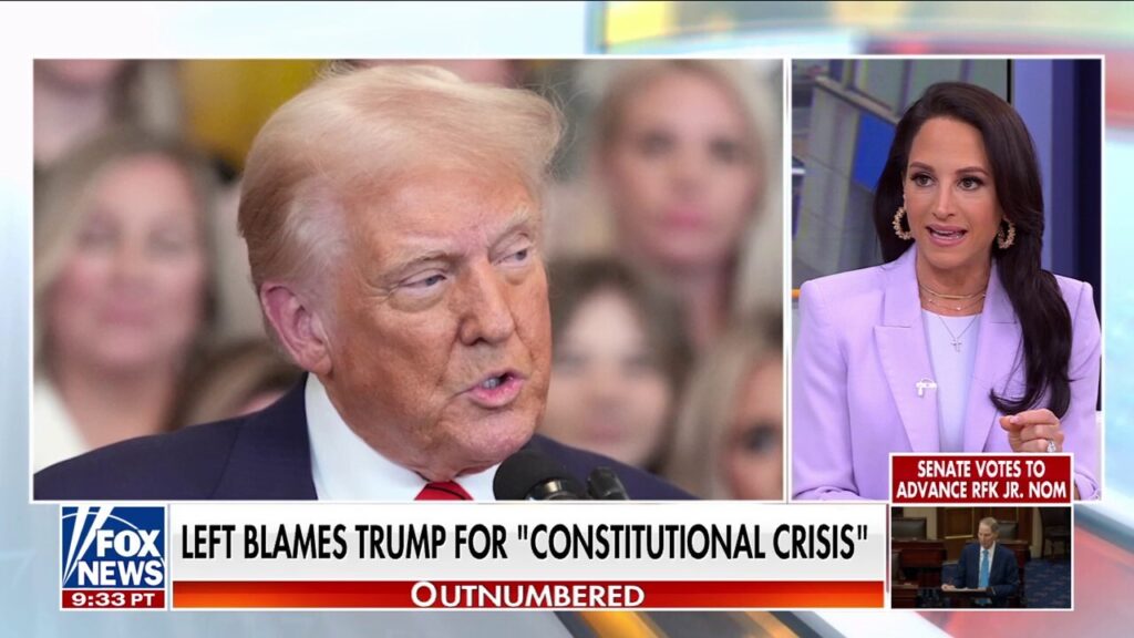 Kayleigh McEnany: Media, Dems stoking fear with 'constitutional crisis' remarks