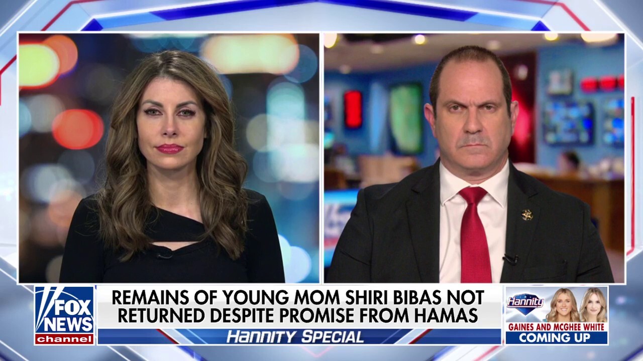 Hamas has created a ‘depraved society’ that must be ‘demilitarized, deradicalized,’ Morgan Ortagus says