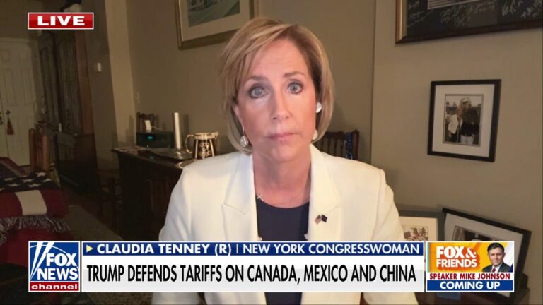 'Get the message': GOP lawmaker praises Trump tariffs to hold China, Mexico and Canada accountable