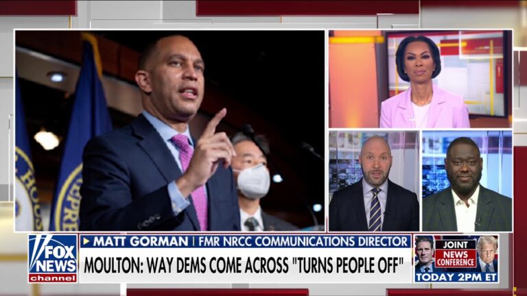 Democrat admits party is 'out of touch' with voters amid search for leadership