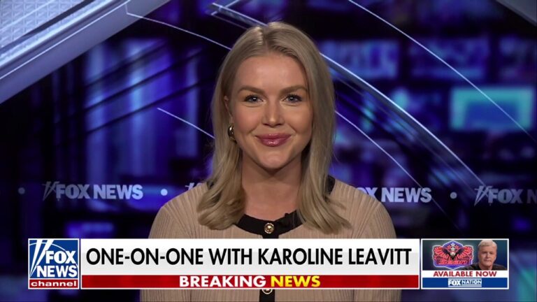 Karoline Leavitt: Democrats are so incredibly out of touch