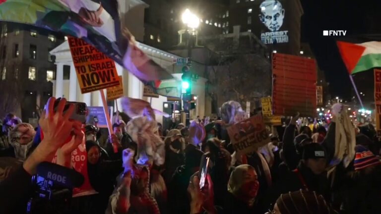 Anti-Israel protesters wave flags supporting Hamas outside White House