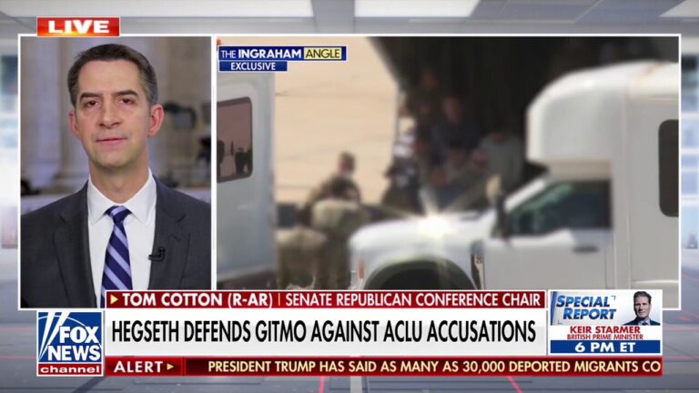 Tom Cotton rebuffs ACLU's Gitmo claims: 'Better conditions' than some Americans in jail