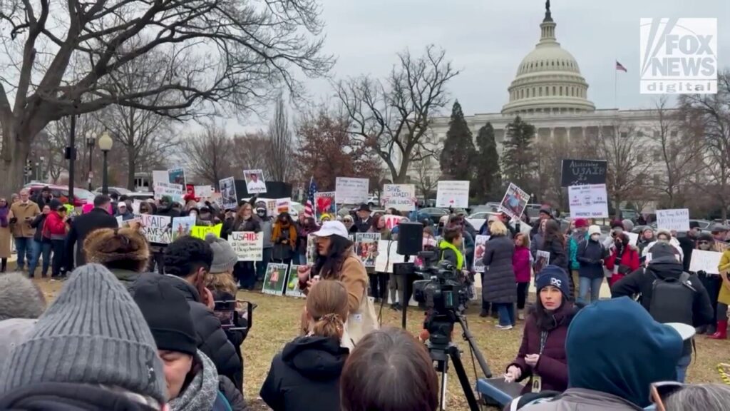 Activists gather outside the U.S. Capitol to protest the sweep of USAID