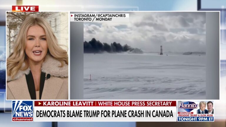 Karoline Leavitt blasts Sen. Schumer for 'irresponsible' attempt to blame Trump for Canada plane crash