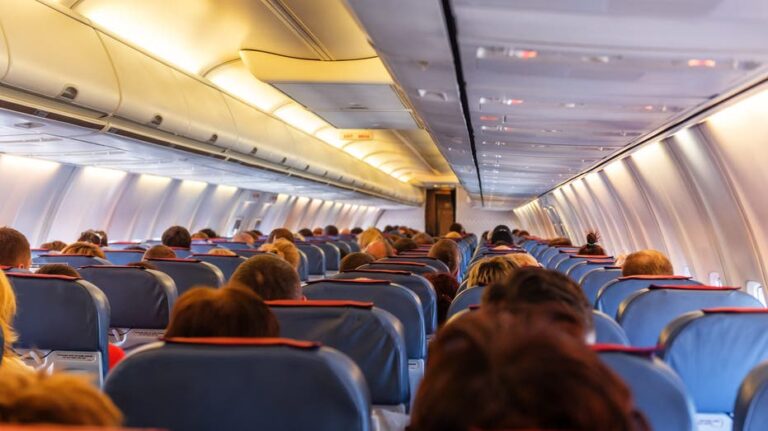 Flight passenger says 'bold seat thief' refused to budge after rightful seat owner approached her