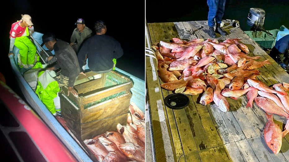 Coast Guard detains Mexican fishermen with over 1,600 pounds of illegally caught fish