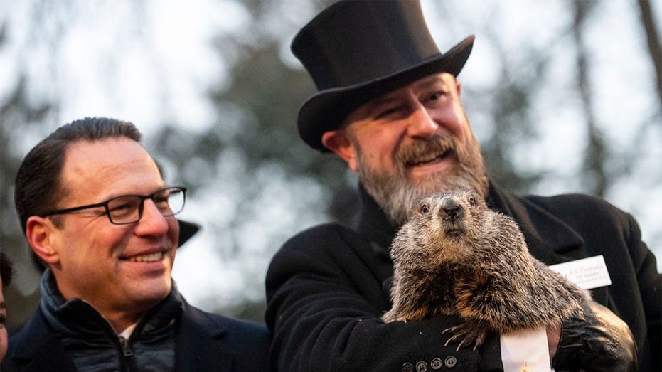 Pennsylvania gov rebuffs PETA's demands on Punxsutawney Phil: 'Come and take it'