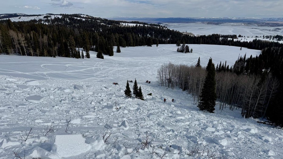 Utah snowmobiler killed in avalanche after being 'fully buried'