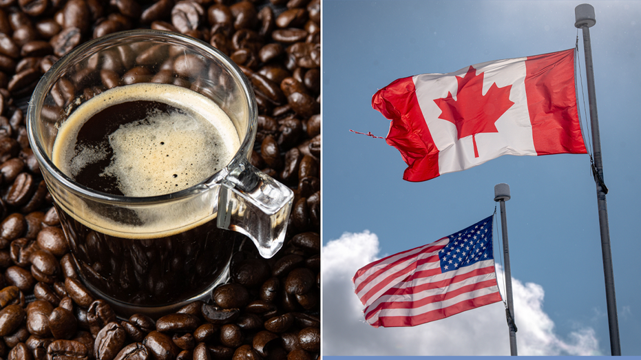 Canadian coffee shops changing name of Americano drink to 'Canadiano' to spite Trump, US tariffs: report