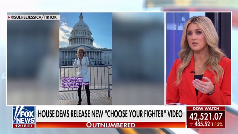 House Democrats release 'choose your fighter' videos in attempt to reach young voters