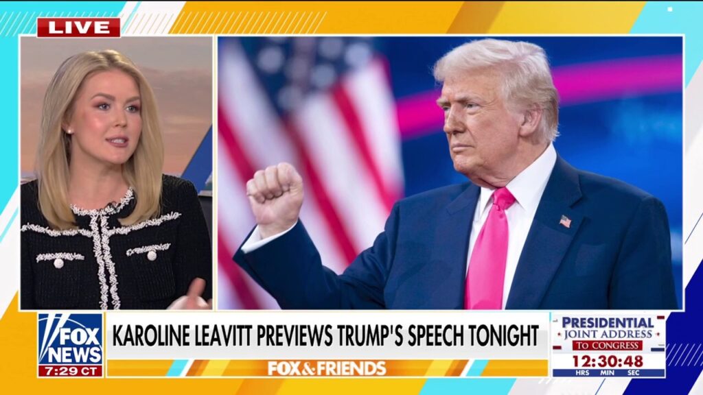 Karoline Leavitt dismisses concerns of Dems disrupting Trump's joint address