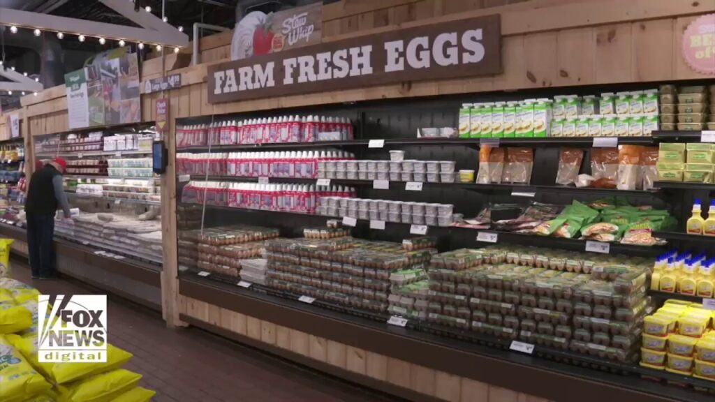 Farmers turn to AI to increase egg supplies