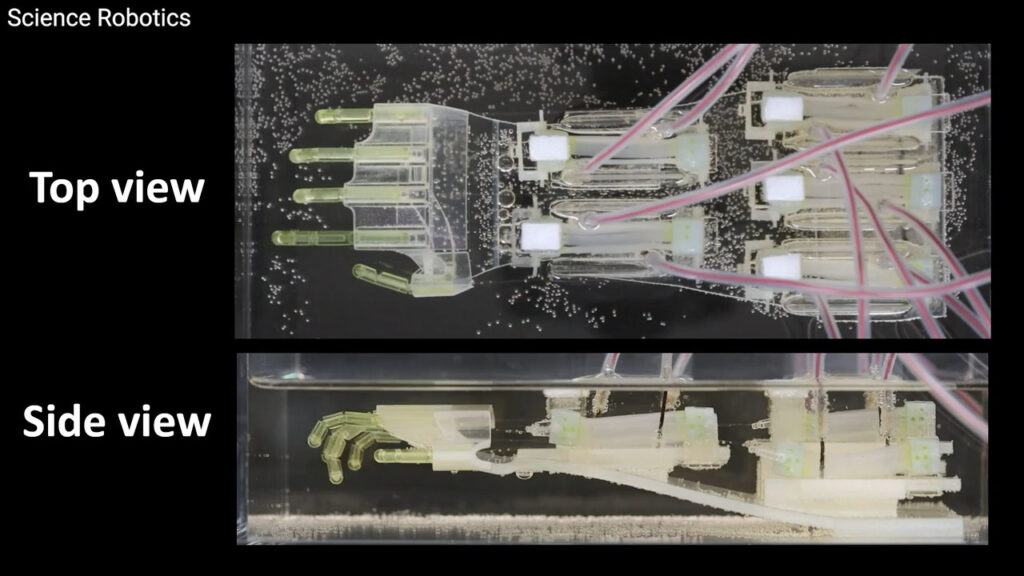 'CyberGuy': 2025 Terminator lab-grown muscle brings biohybrid robot hand to life