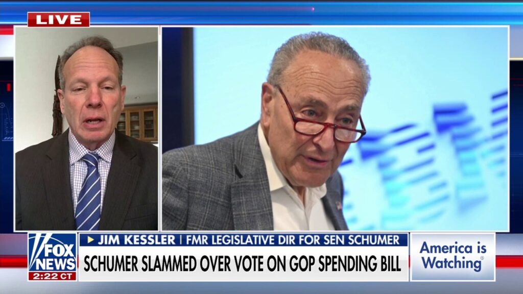 Dems need to do a lot of 'rethinking,' former Schumer policy director says