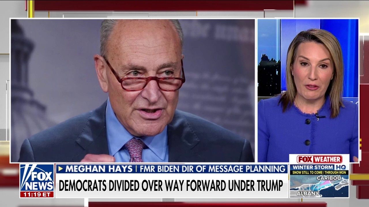 Chuck Schumer should have an 'exit strategy,' former Biden adviser says