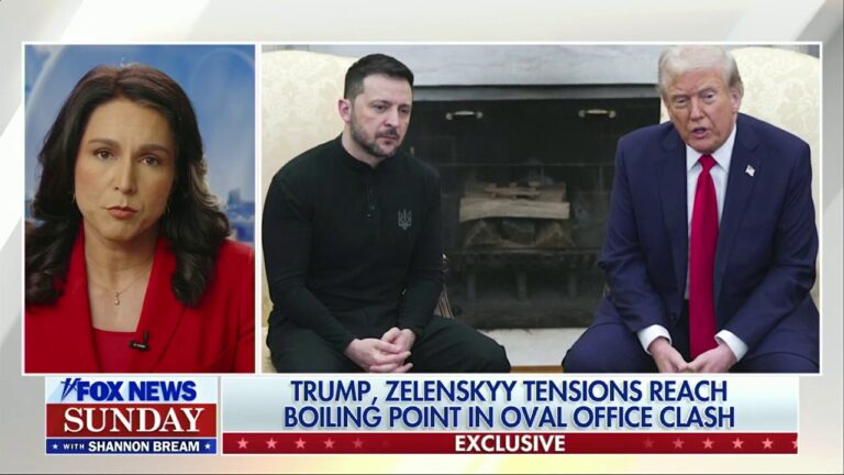 Zelenskyy's 'surprise' escalation in Oval Office created 'huge rift' in US-Ukraine relationship: DNI Gabbard