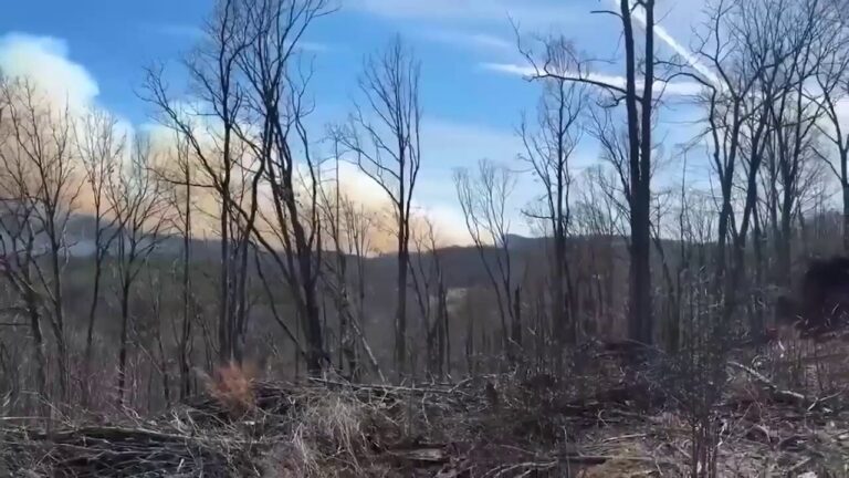 Wildfires scorch the Carolinas