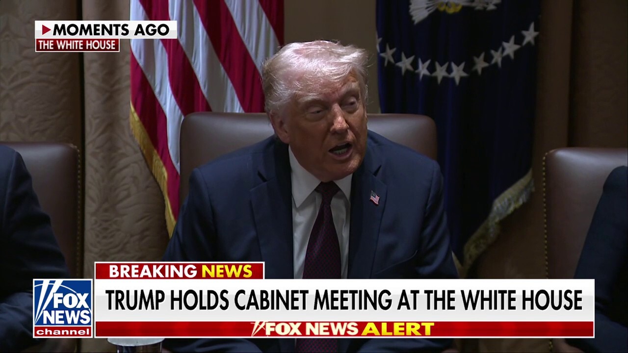 Trump calls out as 'pure fraud' in government waste as Elon Musk is thanked for DOGE
