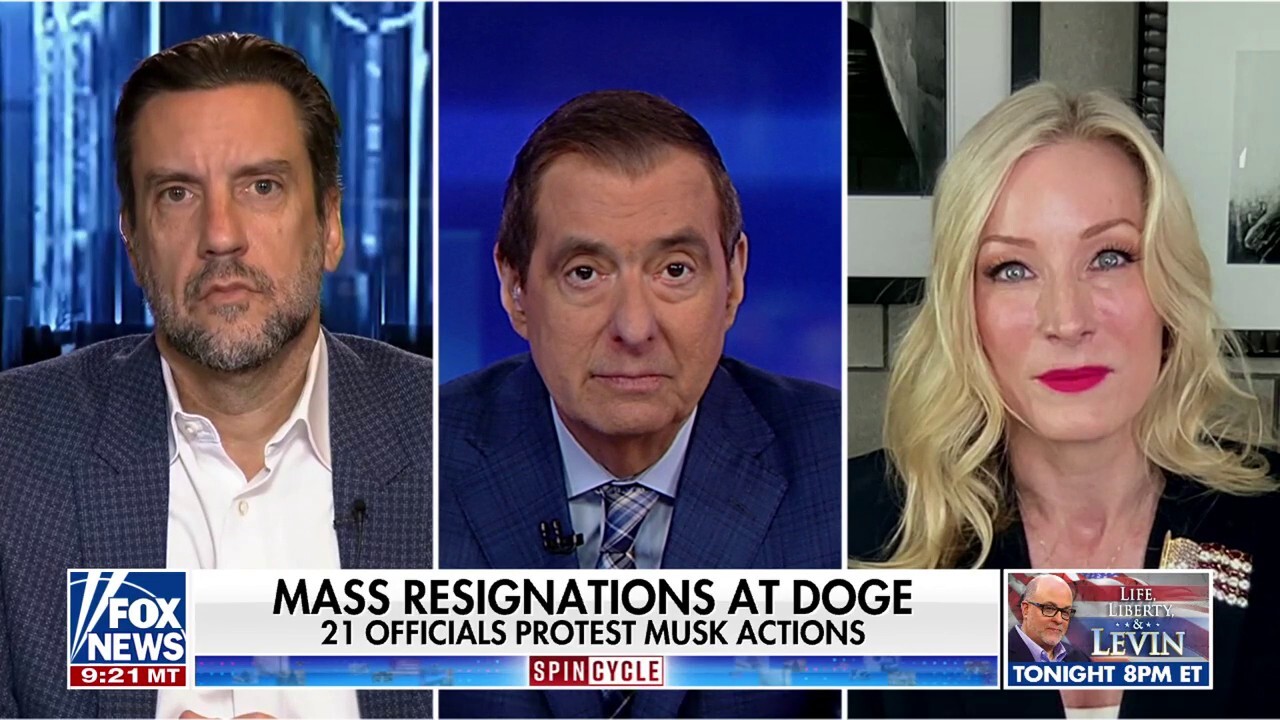 Democrats pack town meetings to debate DOGE, backed by left-wing groups