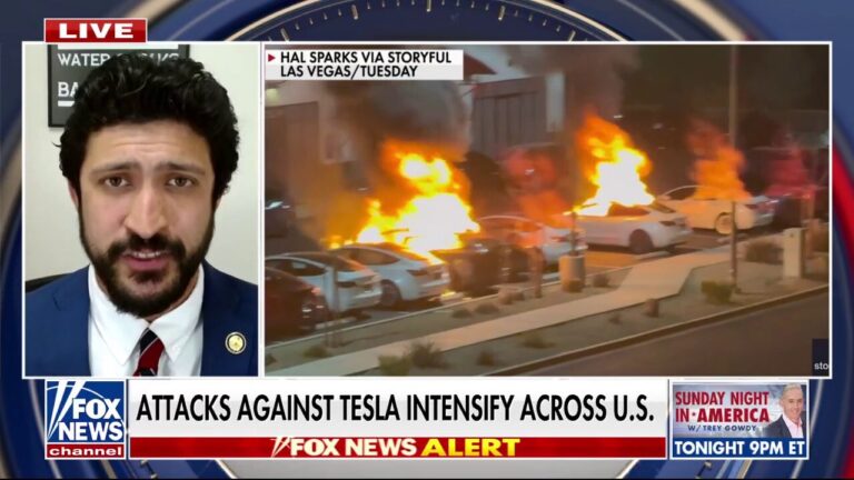 Those who commit attacks on Tesla should be 'held accountable,' Dem lawmaker says