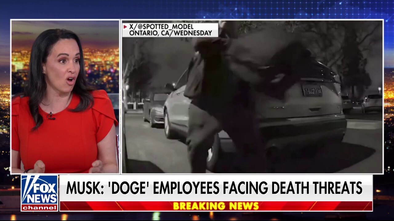 DOGE is 'exactly' what Americans asked for, says former California GOP chairwoman