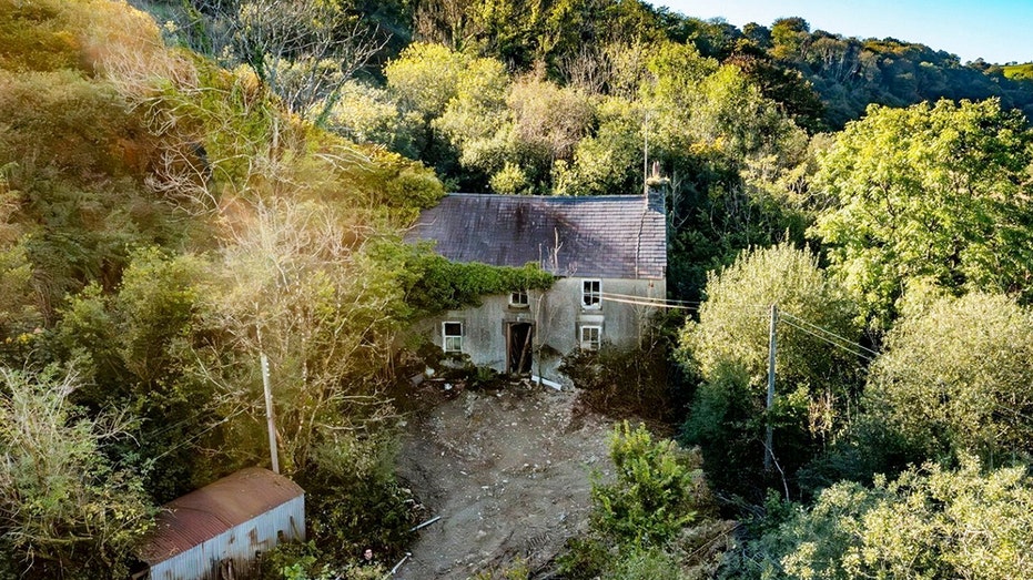 'Spooky' property for sale in nature-drenched spot has a few strings attached