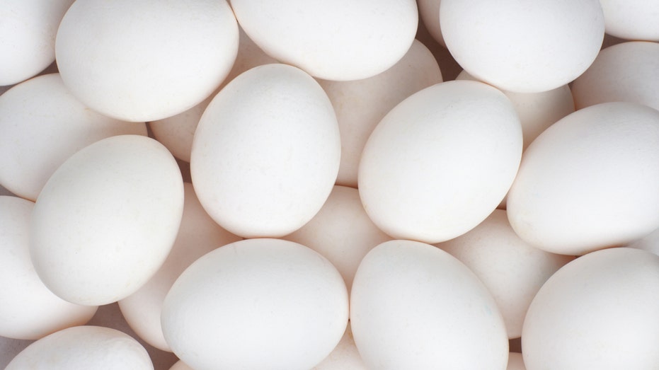 Smart policy and cheaper eggs: Trump-Rollins team good for farmers and US consumers