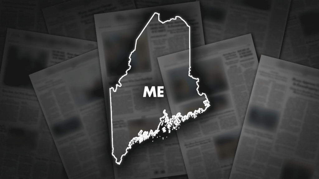 Maine 'MAGA' parent silenced at school board meeting during speech opposing trans athletes in girls' sports