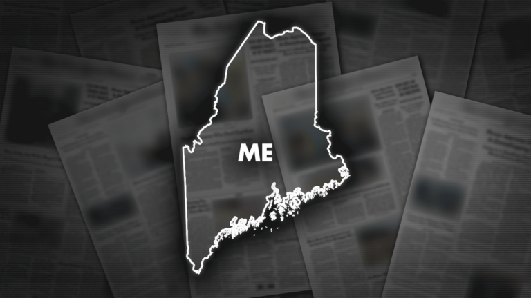 Maine 'MAGA' parent silenced at school board meeting during speech opposing trans athletes in girls' sports