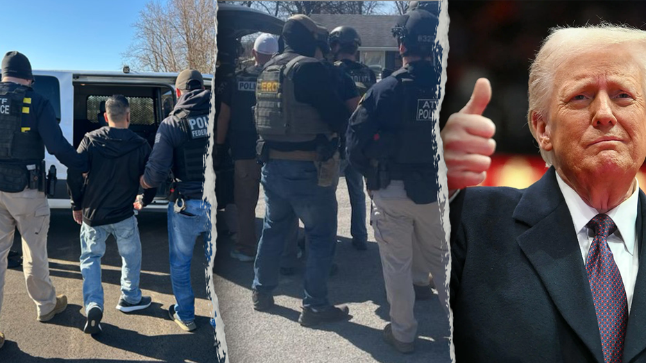 White House defends ICE, says Dems, media want 'sick' criminal migrants left on streets