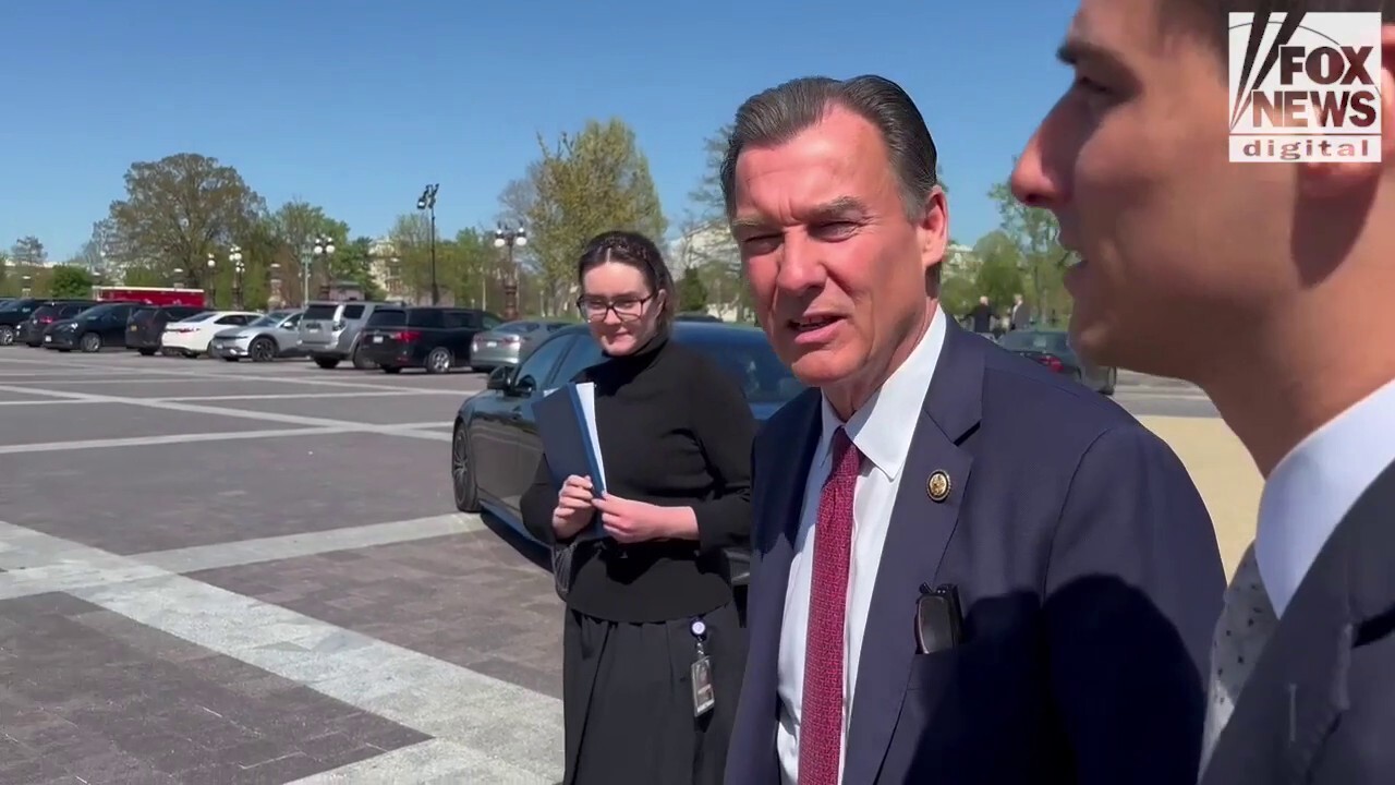 Dem Rep says claim that non-citizen voting happening in NY is a 'myth,' 'completely inaccurate'
