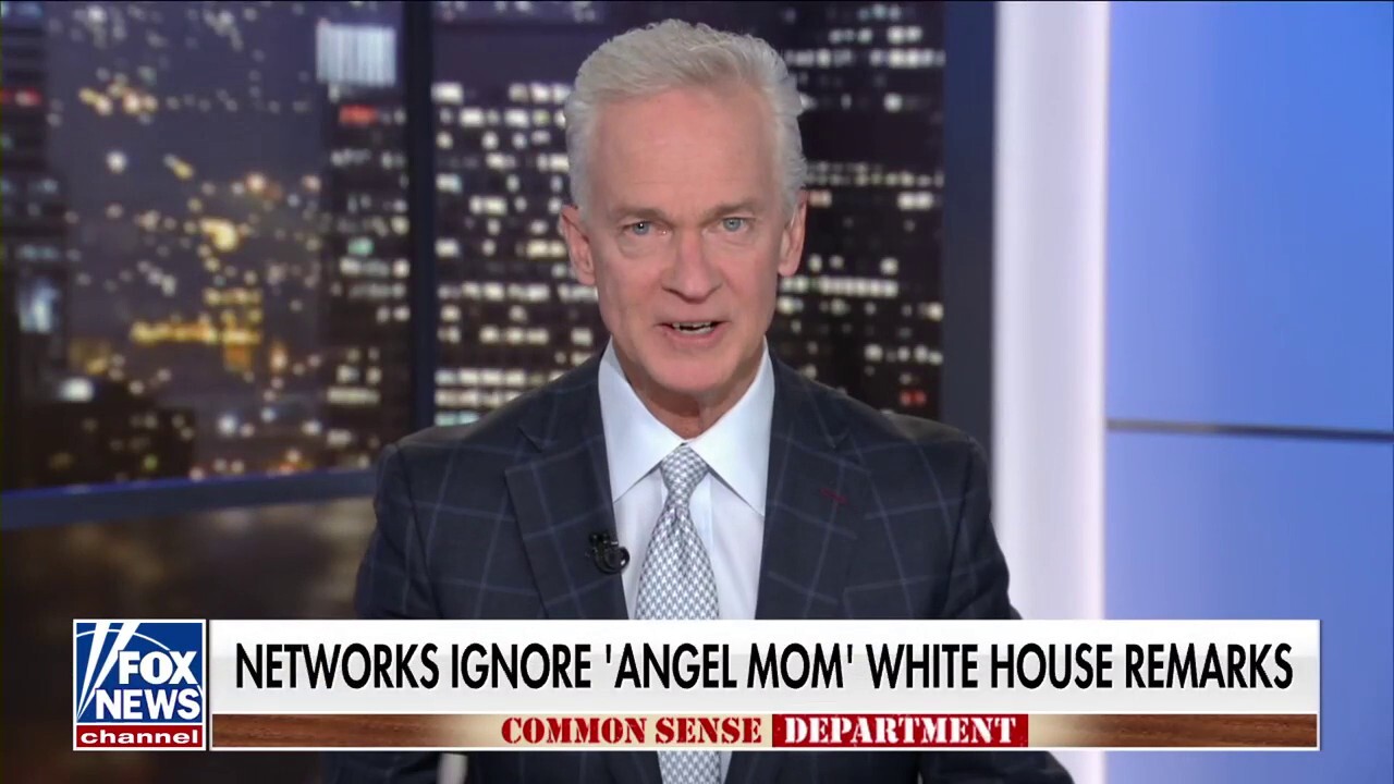 Trace Gallagher: CNN and MSNBC have gotten good at ‘tree in the forest’ journalism