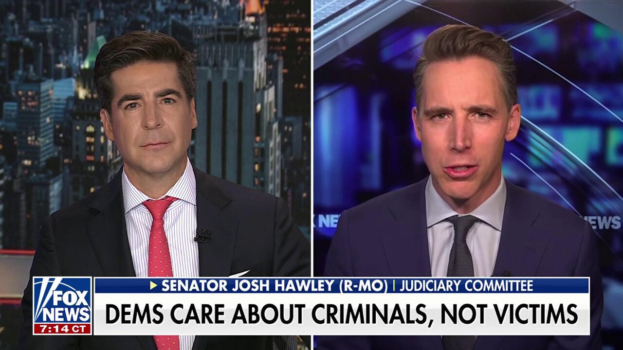 Democrats are so in love with criminal illegal aliens they'd like to personally escort them into the US, GOP lawmaker says