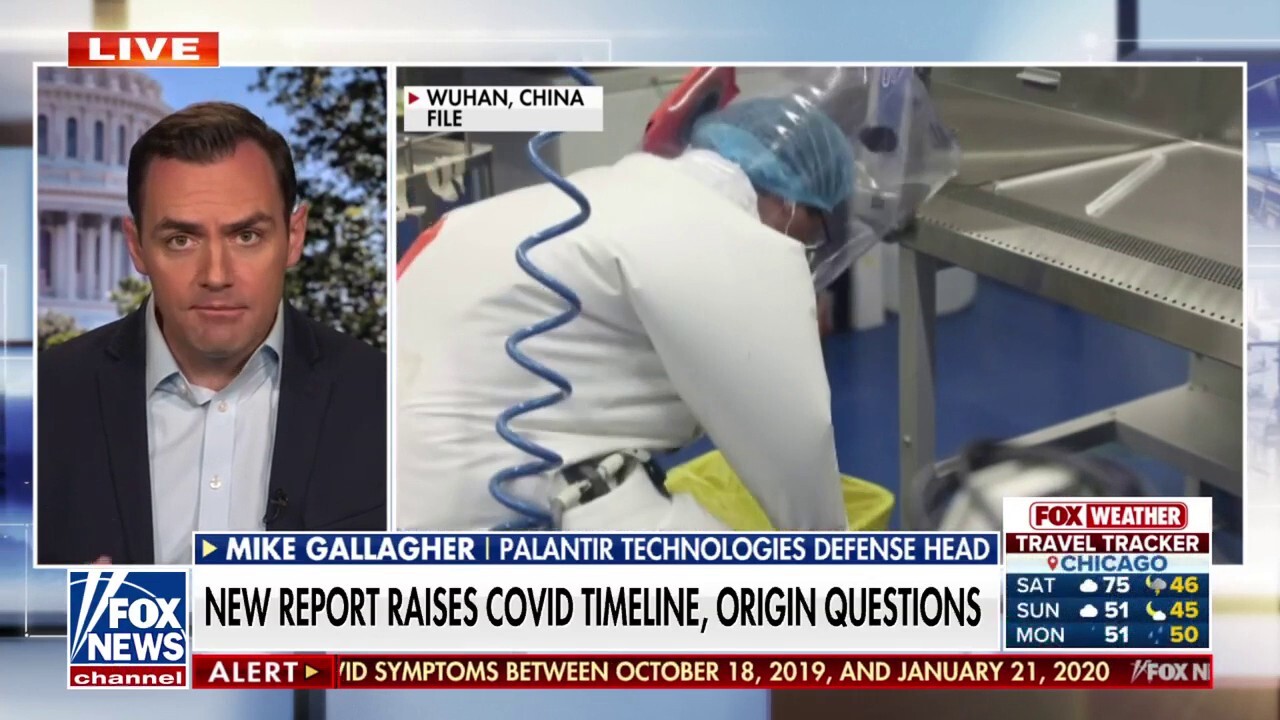 New report raises  questions on COVID timeline and origin