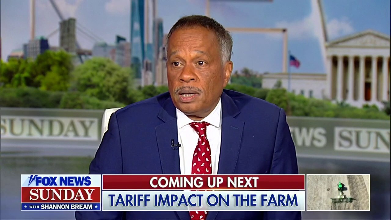 Maryland man's immigration case must have 'due process': Juan Williams