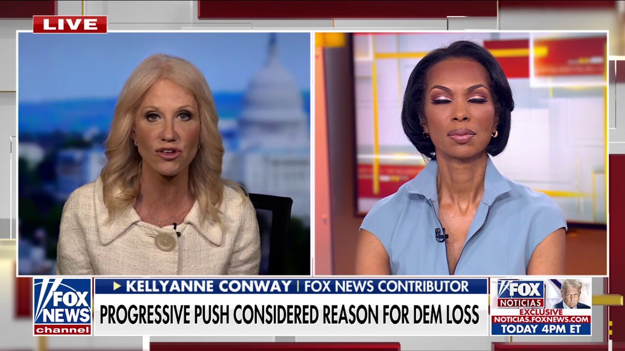 Longtime Dem adviser goes off on far left: Headed for a 'ditch!'