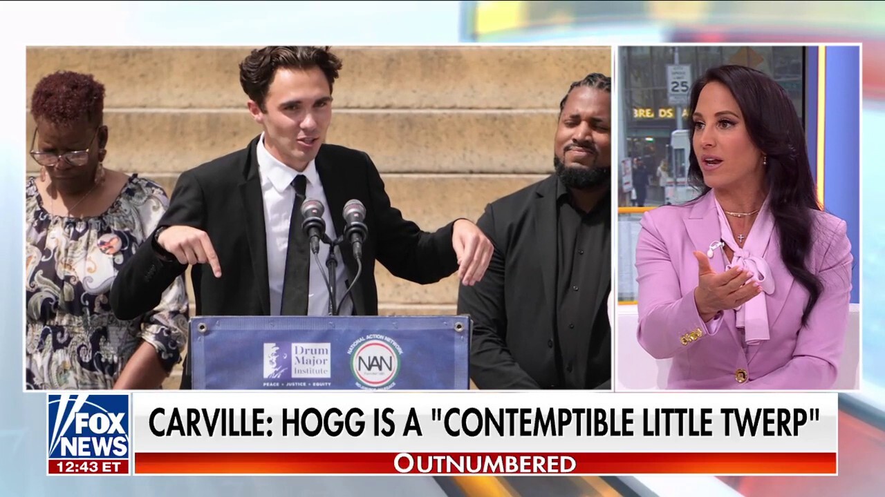 James Carville takes aim at DNC vice chair as civil war escalates: 'Insane'