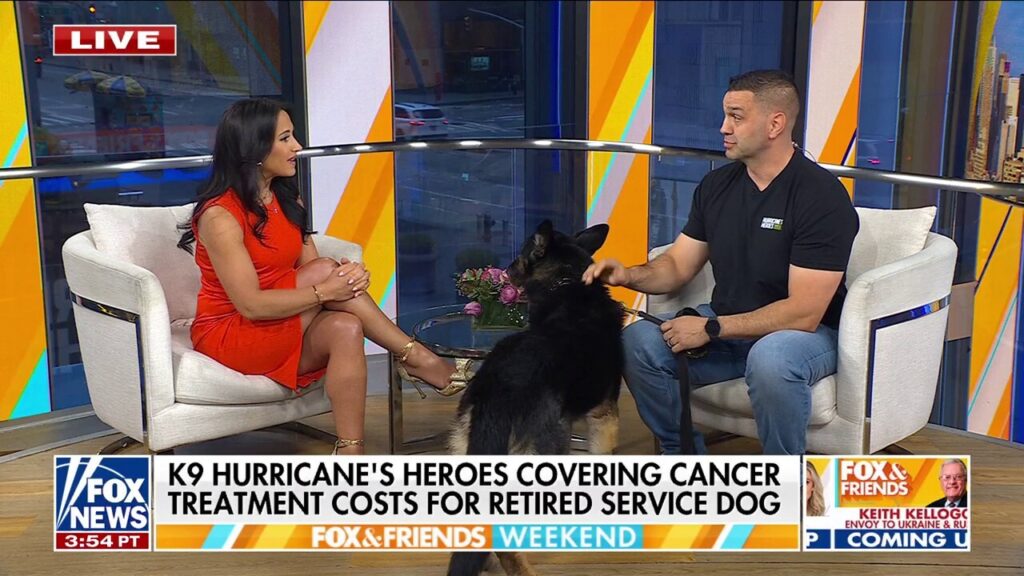 K9 Hurricane’s Heroes helps cover care for service dogs