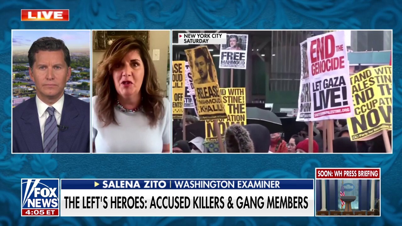 'Normal' Dems find this movement 'incredibly cringeworthy,' reveals reporter