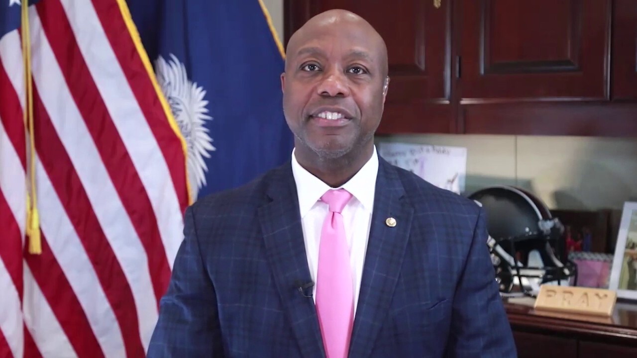 Sen. Tim Scott details first 100 days as Senate Banking Committee chairman