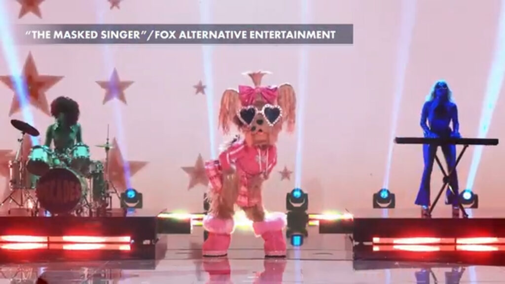 FOX's 'The Masked Singer' Unmasked... Erika Jayne!