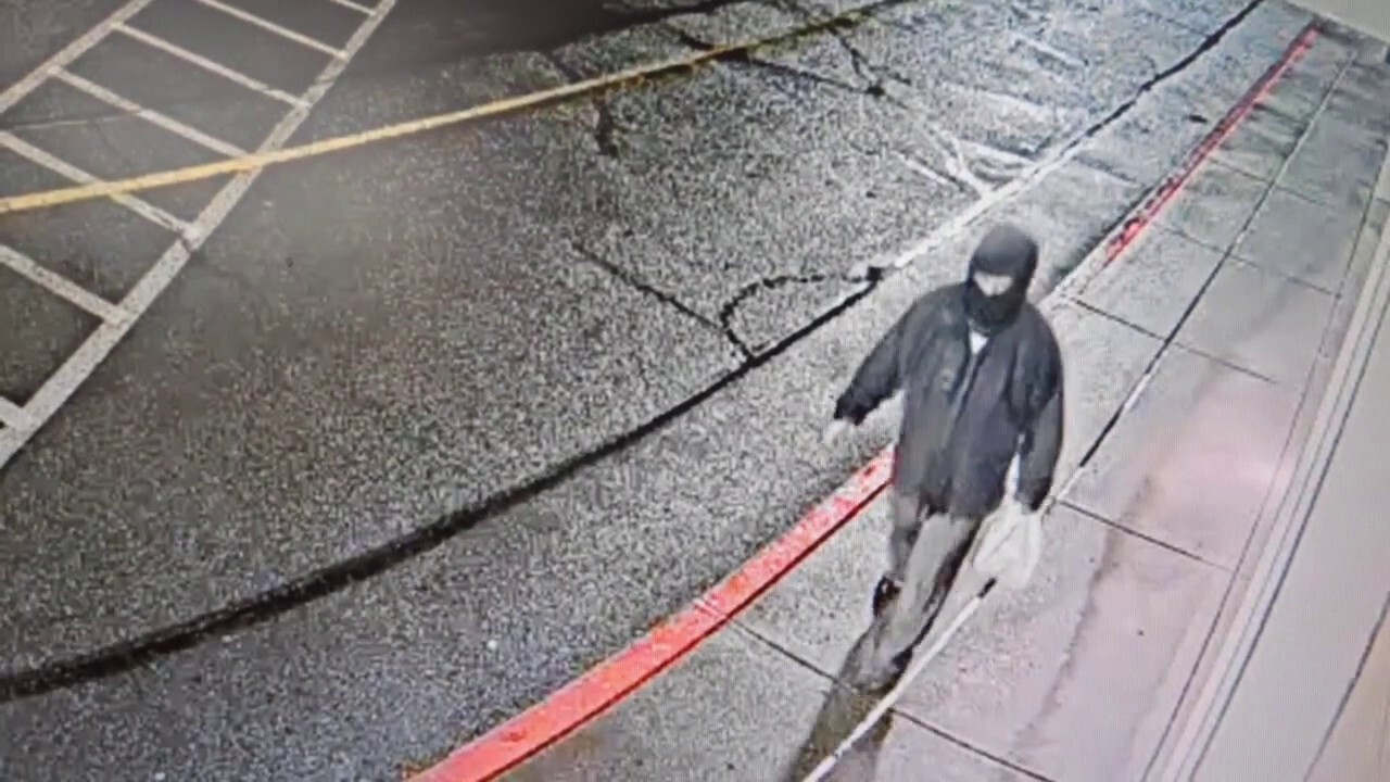 Police searching for man accused of Tesla attack in Washington
