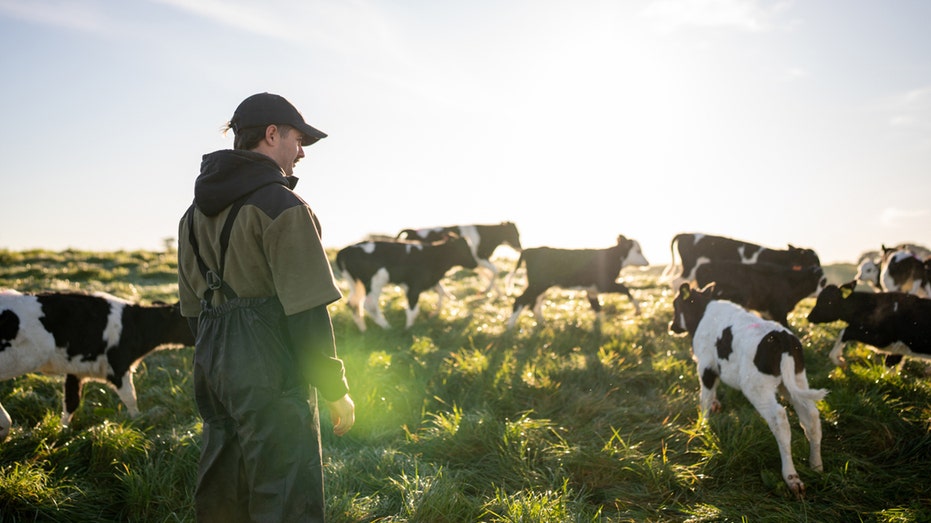 Farm fresh food initiative for Americans' tables means a ‘renaissance of agriculture’