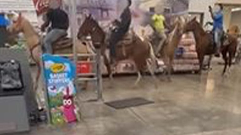 3 men, 1 teen facing multiple charges in Louisiana for riding horses in Walmart